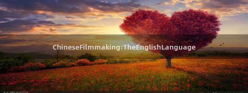 西瓜影院网：ChineseFilmmaking:TheEnglishLanguage