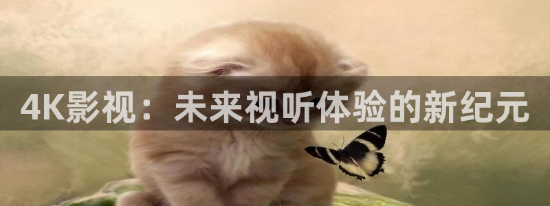 下载一个西瓜视频：4K影视：未来视听体验的新纪元