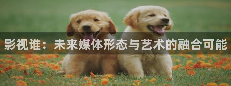 西瓜影院高清在线免费观看：影视谁：未来媒体形态与艺术的融合可能