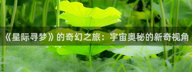 龙岭迷窟电视剧免费观看西瓜：《星际寻梦》的奇幻之旅：宇宙奥秘的新奇视角