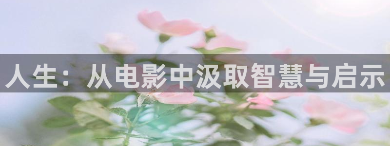 西瓜播放器在线电影天狼：人生：从电影中汲取智慧与启示