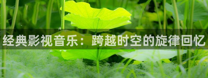 青苹果乐园免费观看西瓜：经典影视音乐：跨越时空的旋律回忆