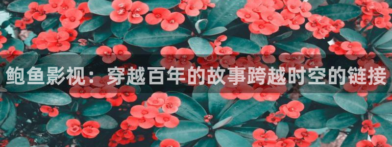 琉璃的电视剧全集免费西瓜：鲍鱼影视：穿越百年的故事跨越时空的链接