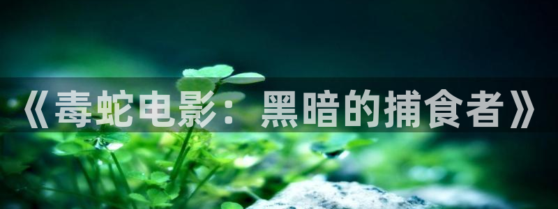 我知道你的秘密免费观看西瓜：《毒蛇电影：黑暗的捕食者》