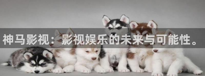 小丈夫西瓜在线电视剧：神马影视：影视娱乐的未来与可能性。