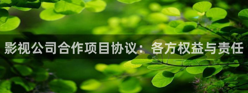 西瓜免费影视剧：影视公司合作项目协议：各方权益与责任