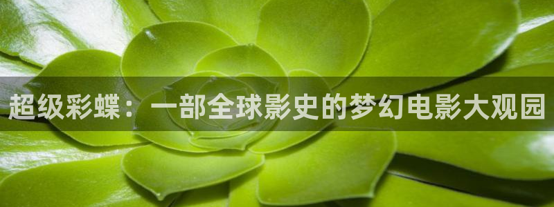双面胶电视剧西瓜免费观看：超级彩蝶：一部全球影史的梦幻电影大观园