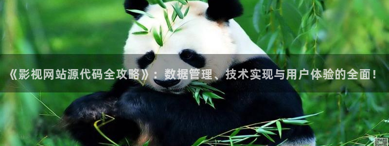 西瓜免费影院大全免费看电视剧：《影视网站源代码全攻略》：数据管理、技术实现与用户体验的全面！