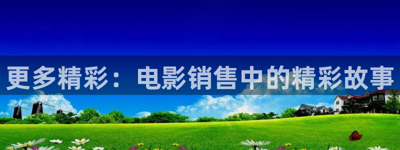 西瓜影院看：更多精彩：电影销售中的精彩故事
