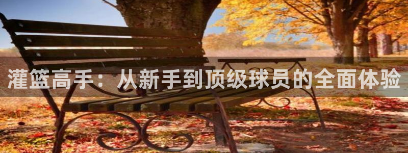 西瓜在线影视剧：灌篮高手：从新手到顶级球员的全面体验