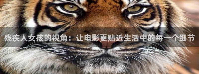 西瓜影院电影免费：残疾人女孩的视角：让电影更贴近生活中的每一个细节