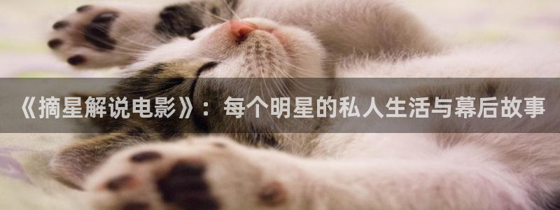 西瓜在线影视：《摘星解说电影》：每个明星的私人生活与幕后故事