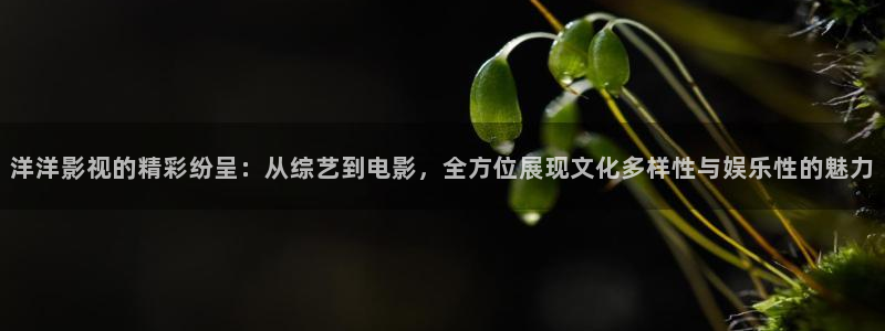 宁波西瓜：洋洋影视的精彩纷呈：从综艺到电影，全方位展现文化多样性与娱乐性的魅力