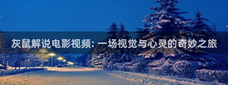 海贼王西瓜在线