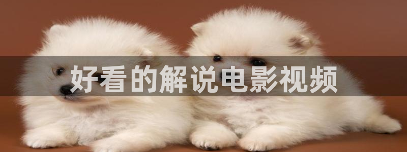王牌对王牌免费观看西瓜