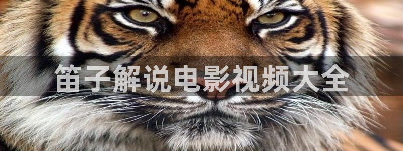 奔跑吧第五季免费观看完整版西瓜