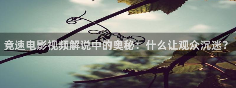 在线观看西瓜