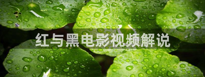 我曾记得那男孩免费观看西瓜影院