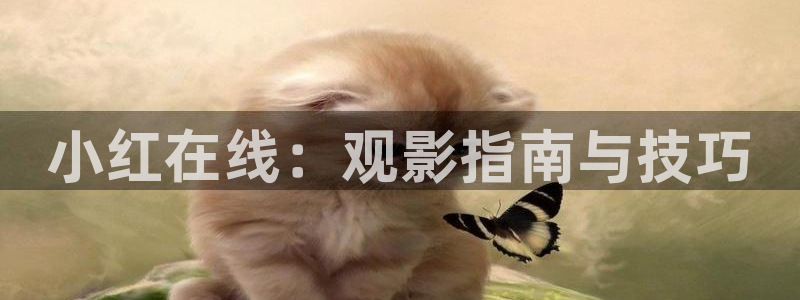 西瓜网影视