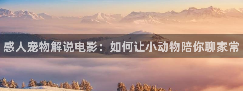 西瓜视频免费在线看