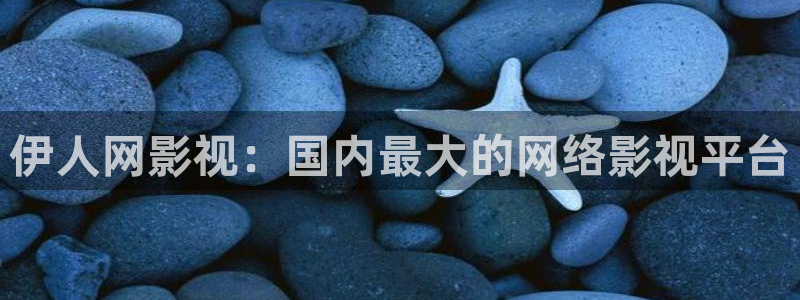 免费观看电视剧西瓜