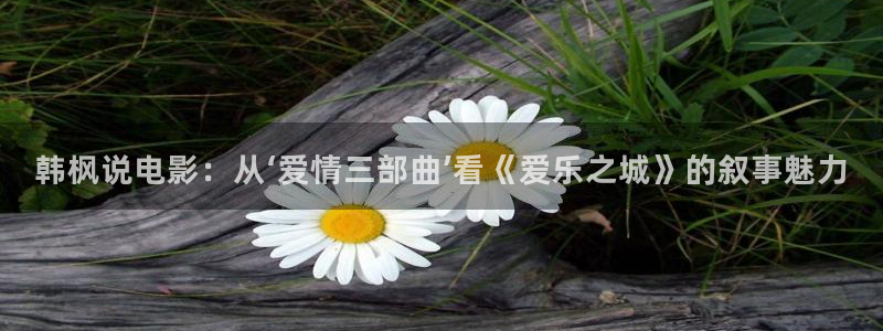 西瓜影院电视剧免费看