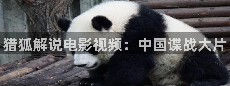 龙岭迷窟在线观看西瓜