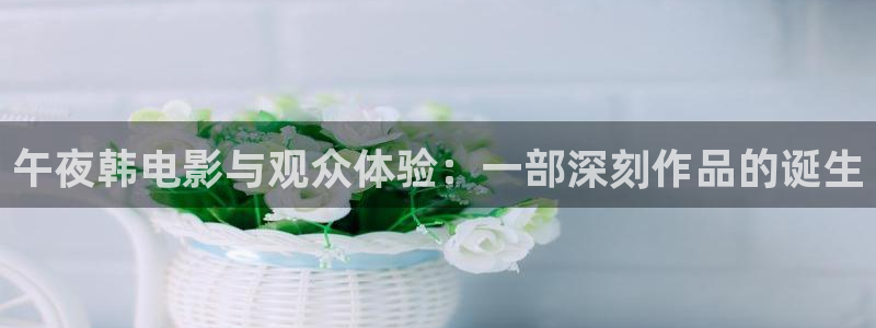 少帅电视剧全集西瓜