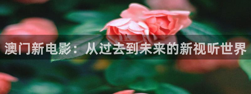 义者无敌西瓜免费版电视剧