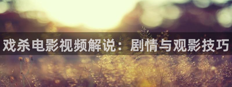 西瓜电影色戒
