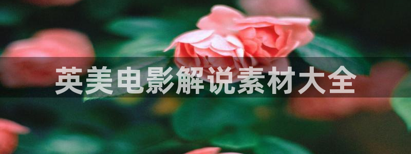 海贼王在线西瓜