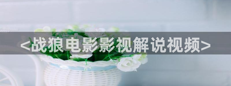 五月槐花香电视剧全集免费西瓜