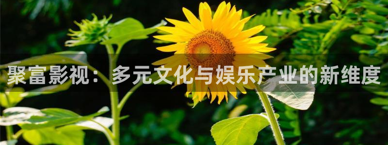 西瓜视频在线看