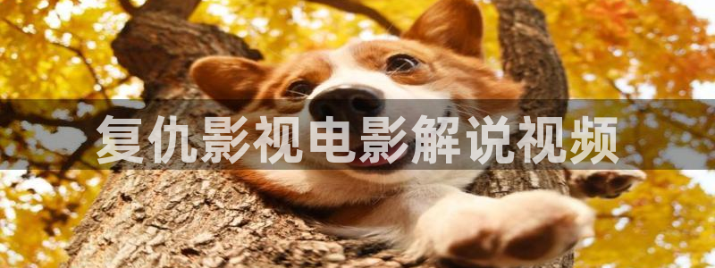 小欢喜免费观看西瓜