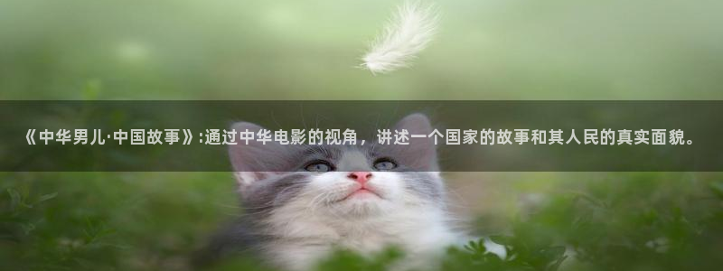 西瓜影视看电视剧