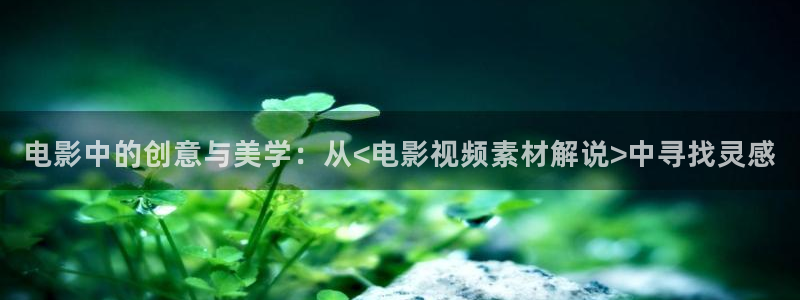 视频西瓜
