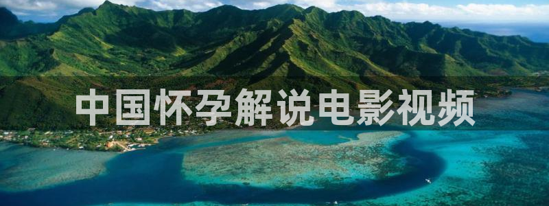 西瓜视频版本大全
