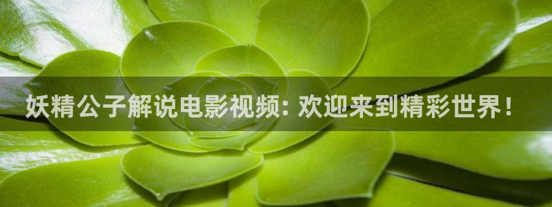 大西瓜免费av电影