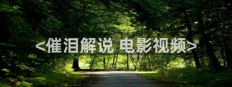 长安少年行在线观看免费西瓜