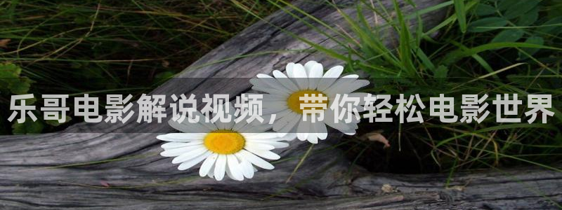 去有风的地方免费观看西瓜