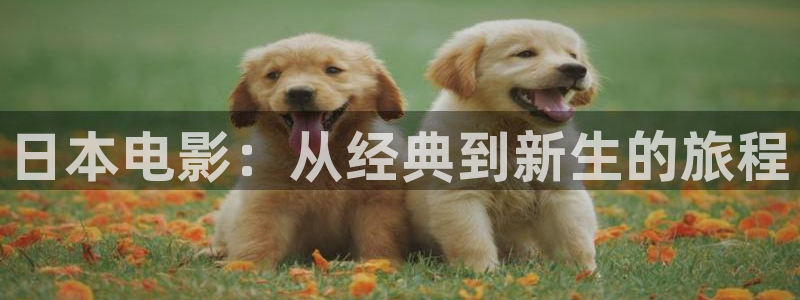 西瓜影院伦理