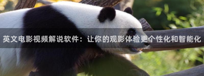 西瓜影院2025在线观看免费高清电视剧