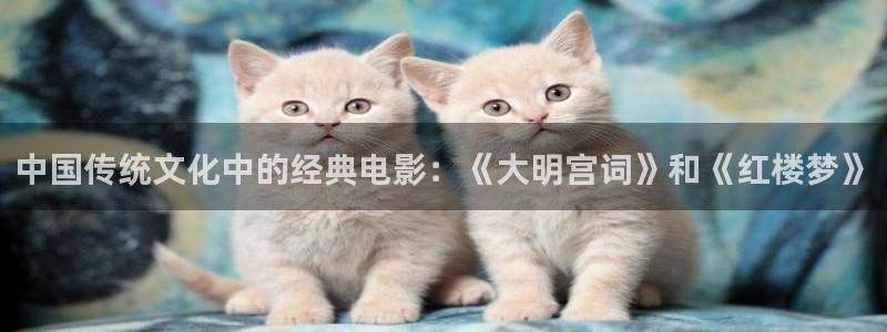 西瓜在线免费影视