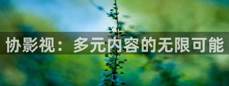 看你往哪跑免费观看西瓜
