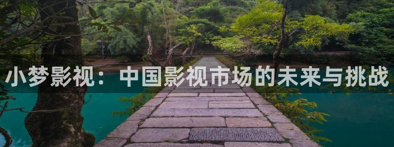 西瓜视频官方最新版本的：小梦影视：中国影视市场的未来与挑战