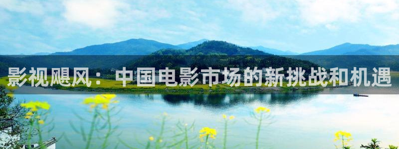 北京大兴西瓜：影视飓风：中国电影市场的新挑战和机遇