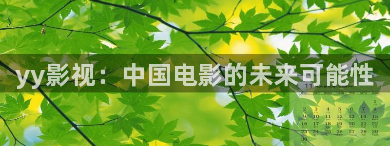 西瓜视频免费的下载：yy影视：中国电影的未来可能性