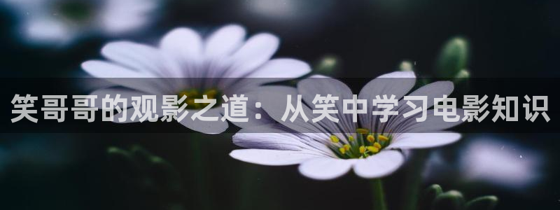 青平影院免费观看电视剧高清西瓜：笑哥哥的观影之道：从笑中学习电影知识